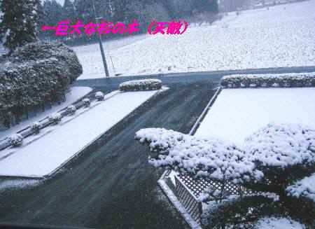 e0078125_21453487.jpg