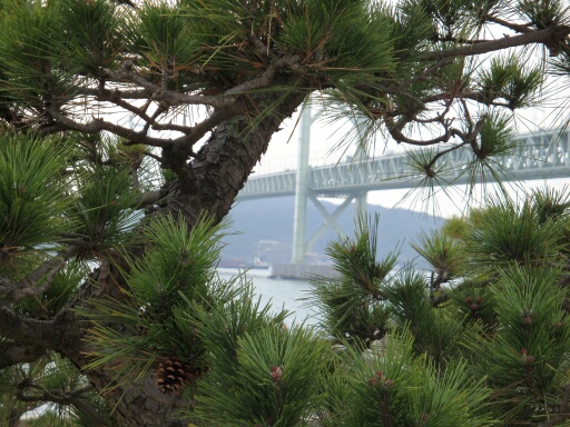 f0037227_2011854.jpg