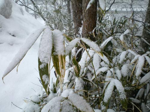 <b>登別温泉</b>にも、またまた雪が降りました！(>_<)