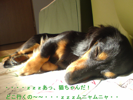 c0117831_2293948.jpg