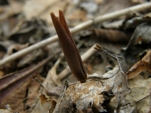 e0145033_20474036.jpg