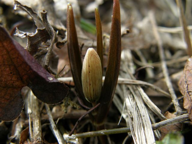 e0145033_2051104.jpg