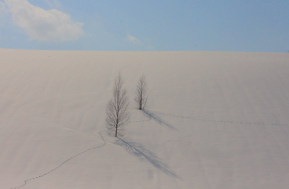 d0069235_2329394.gif