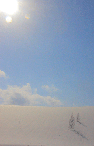 d0069235_23415697.gif