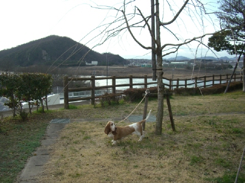 e0117138_11273468.jpg