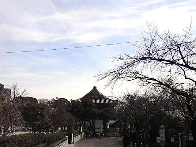 b0019140_17285475.jpg