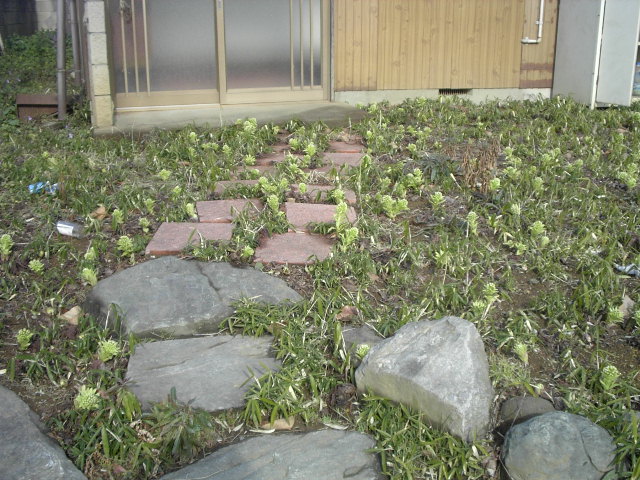 a0054043_18101618.jpg