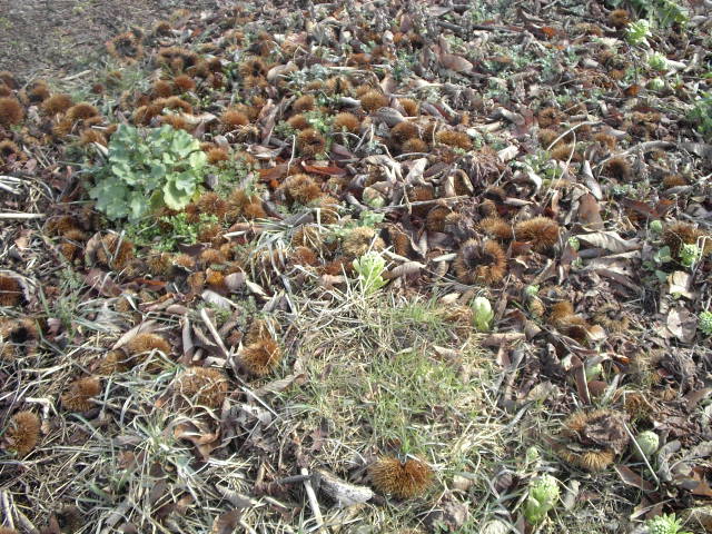a0054043_18403031.jpg