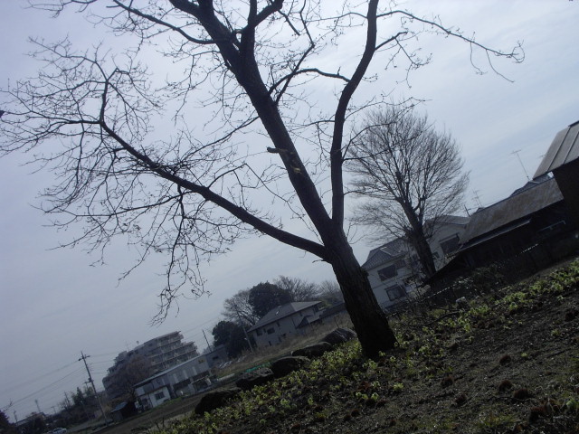 a0054043_1845832.jpg