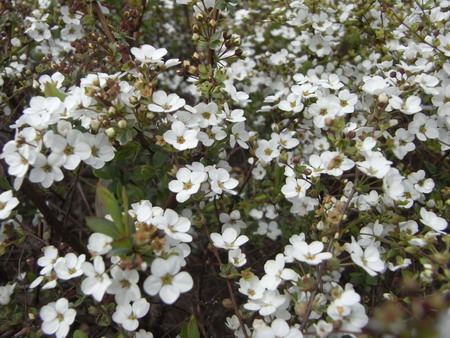 b0071654_1305072.jpg
