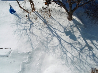 e0004756_2245737.jpg