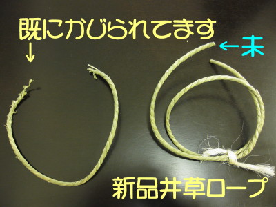 b0158061_20343227.jpg