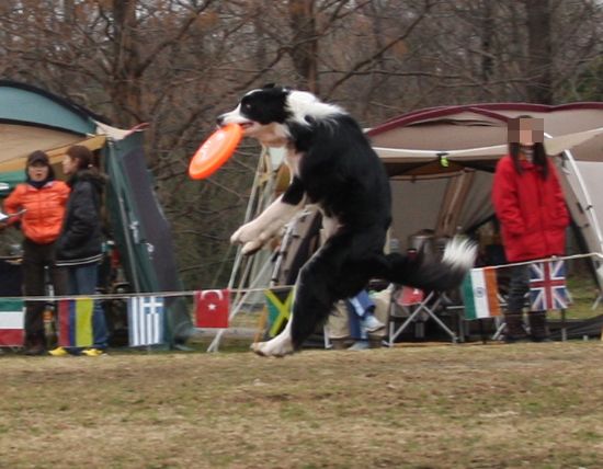 a0100564_813470.jpg