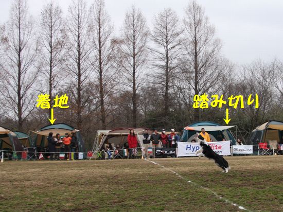 a0100564_8303446.jpg