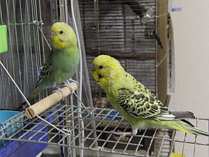 f0196665_0464811.jpg