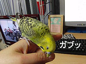 f0196665_111189.jpg