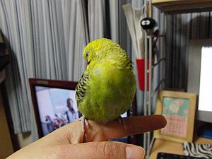 f0196665_134492.jpg