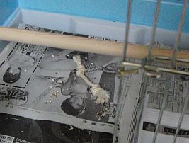 f0196665_22103637.jpg