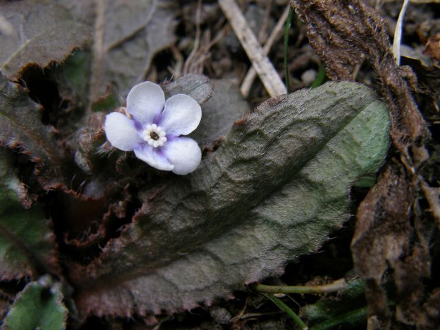c0042869_21103782.jpg
