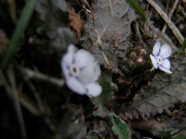 c0042869_21105137.jpg