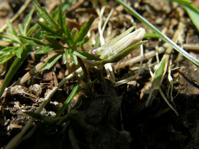 c0042869_2118575.jpg