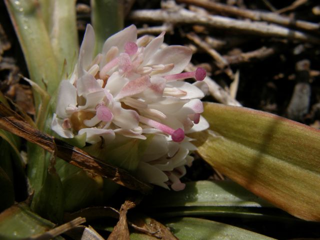 c0042869_2181770.jpg