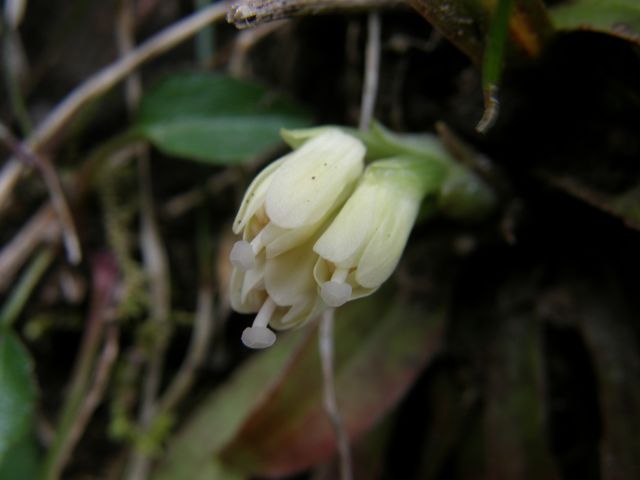 c0042869_2184597.jpg