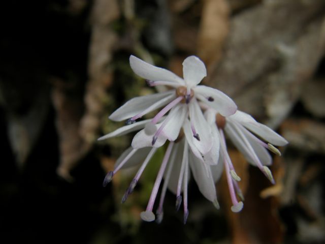 c0042869_219061.jpg
