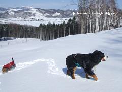 f0150377_1641192.jpg