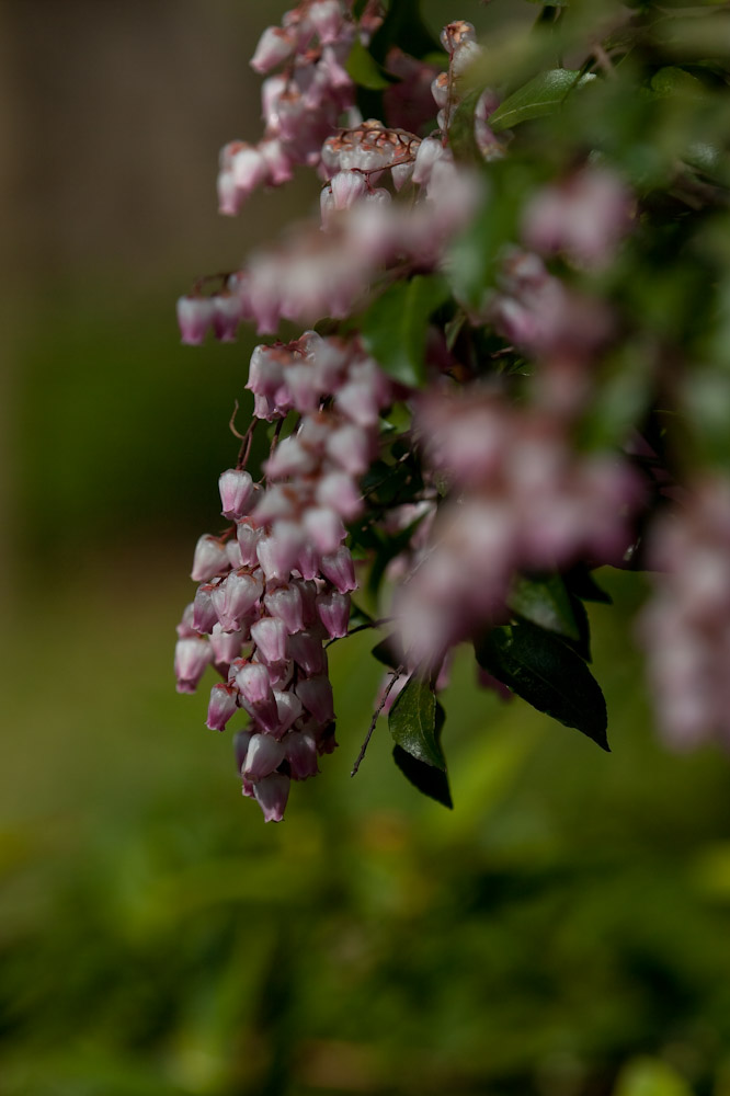 a0083081_1747480.jpg