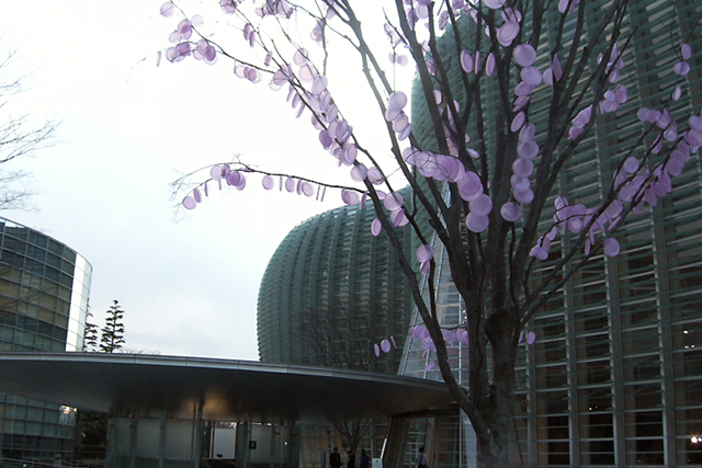 d0099181_125344.jpg