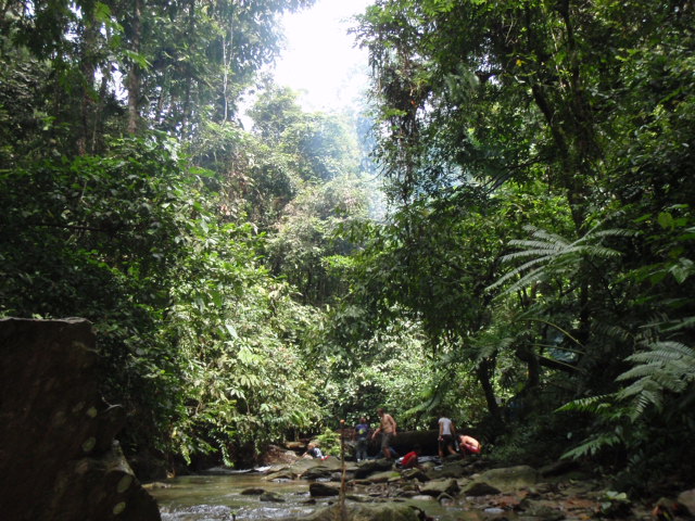 e0150782_18291263.jpg