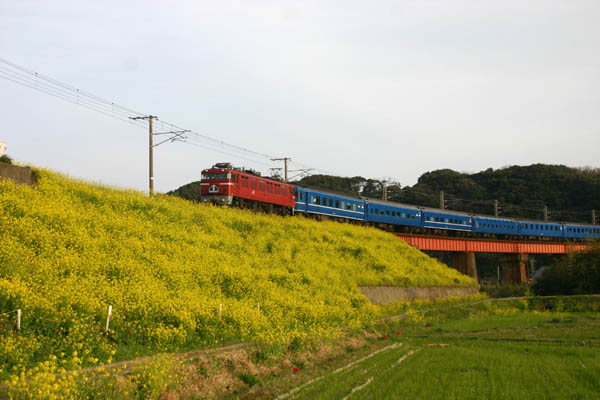 b0124685_1842225.jpg