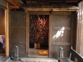 c0105785_11435595.jpg
