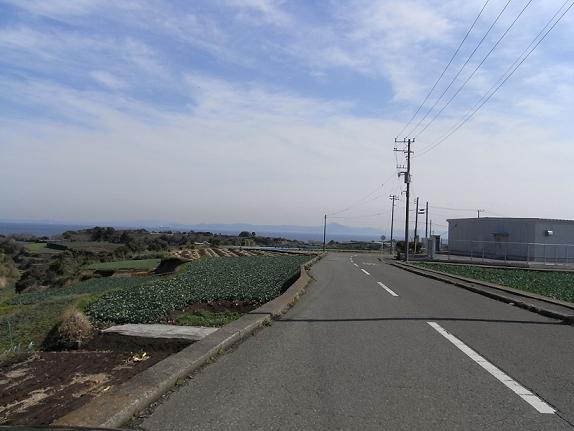 f0151588_334942.jpg
