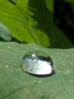 f0085291_1823196.jpg