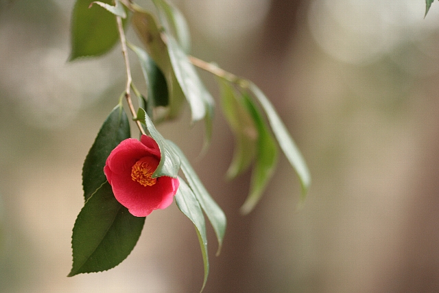 d0133693_16434582.jpg