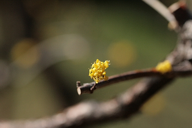d0133693_8384064.jpg