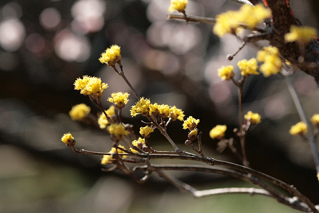 d0133693_8392718.jpg