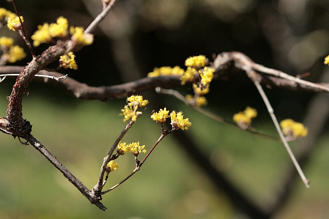 d0133693_8404752.jpg