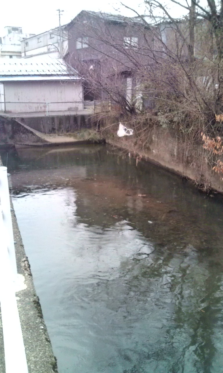 c0188694_18262437.jpg