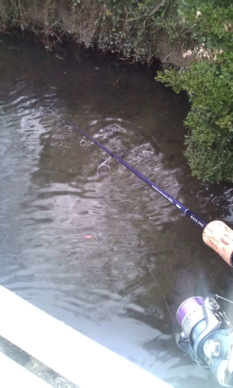 c0188694_1842190.jpg