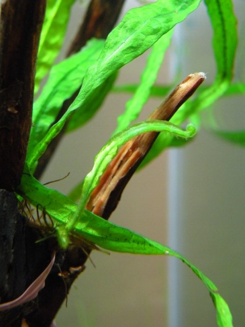 c0190594_1429753.jpg