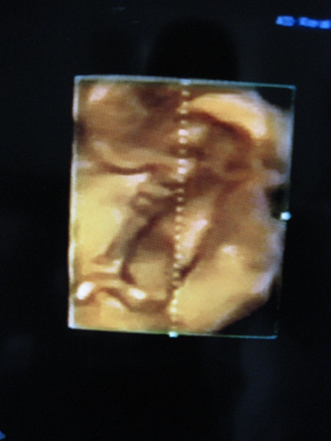 c0062495_16305771.jpg