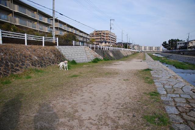 d0091700_2056475.jpg