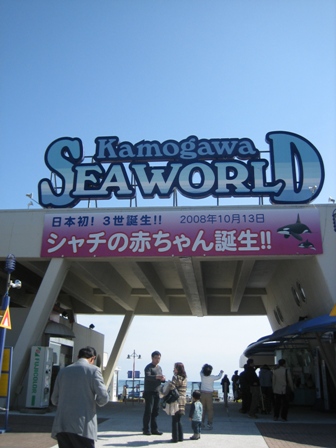 a0058005_19244319.jpg