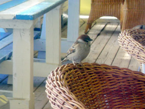 e0177509_17342324.jpg