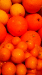 f0014209_2259332.jpg