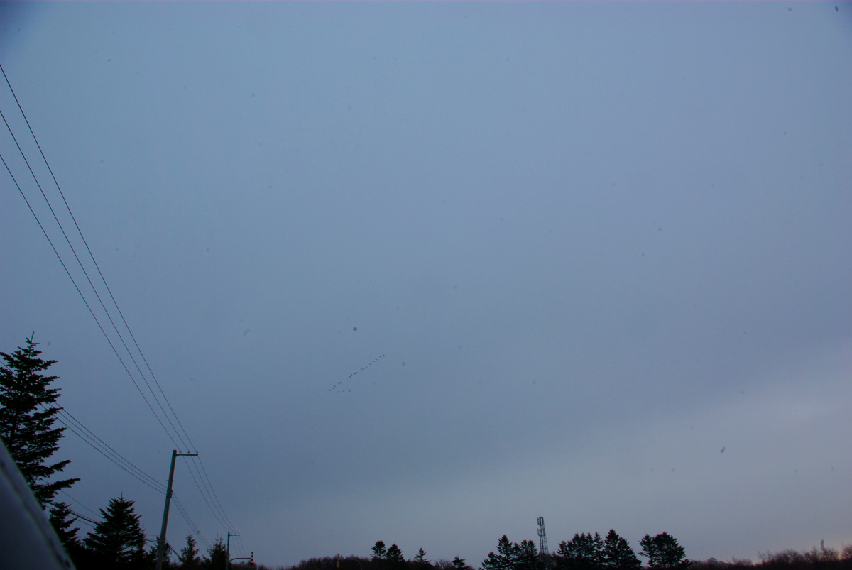 e0142611_23461787.jpg