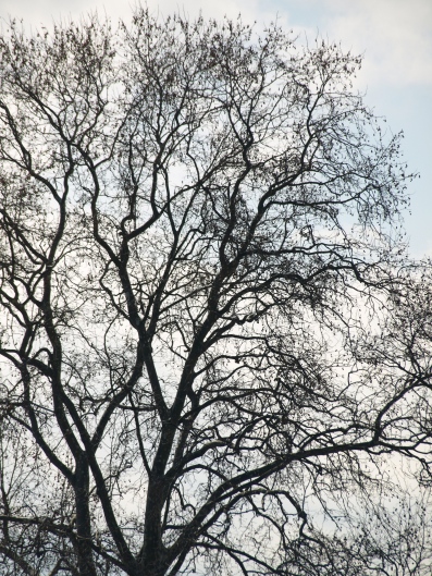 e0083212_1520132.jpg